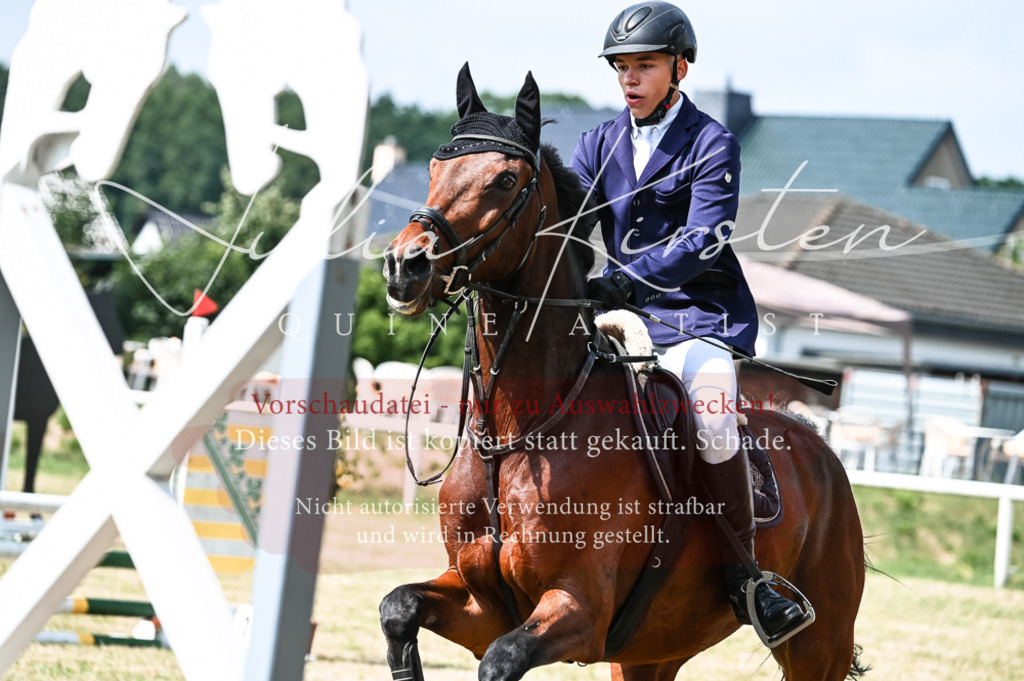 DSC_8954 | Pferde- und Turnierfotografie in Westsachsen. Pferdeportraits, Auftragszeichnungen und intuitive Kunst.
