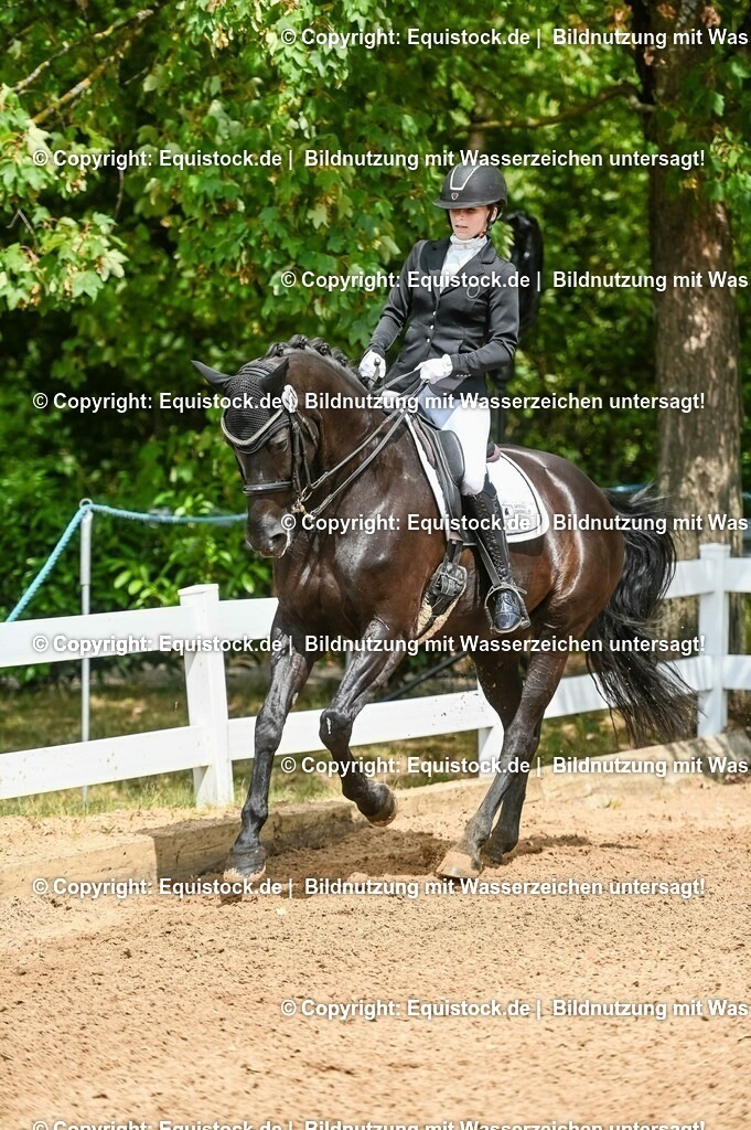 20230716_01_Dressurprüfung Kl.M_0039 | equistock