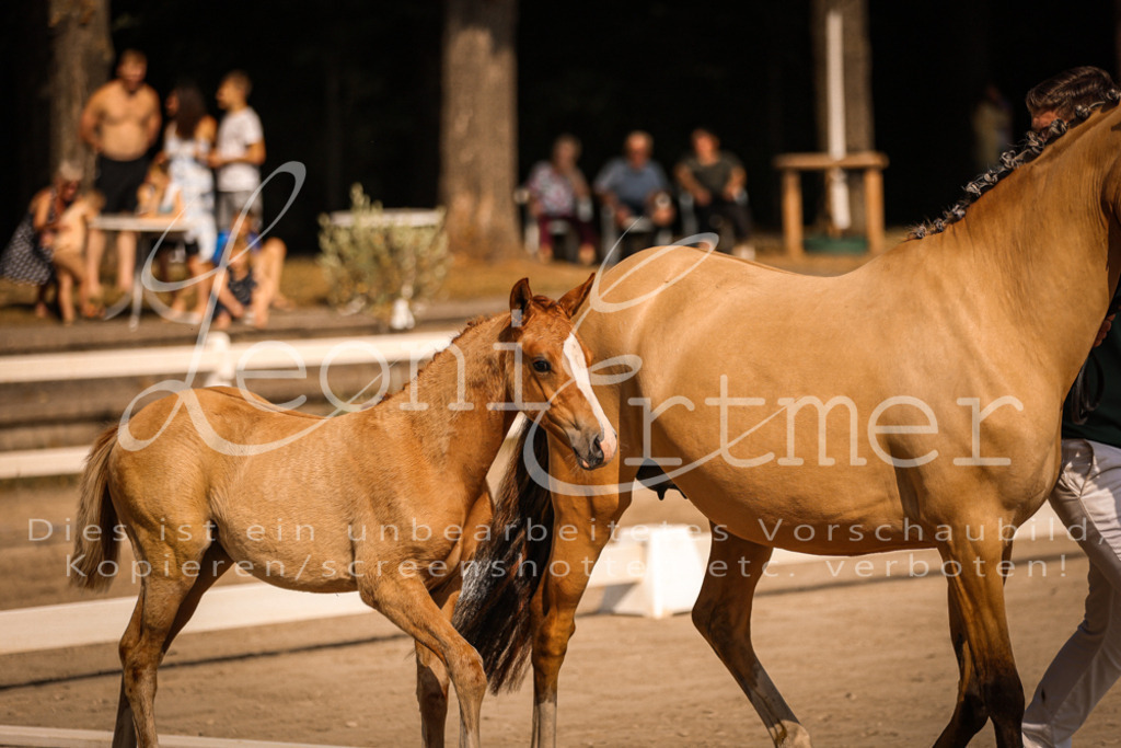 10.DoRP00103 | Leoni Ertmer Photography - Realisiert mit Pictrs.com