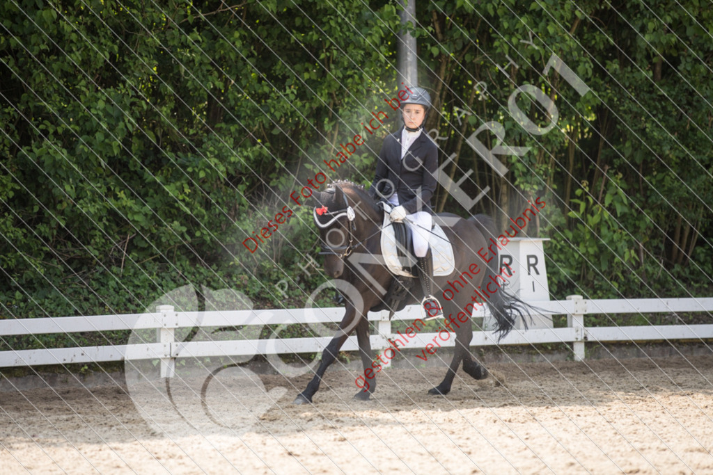 IMG_3649 | Sport-, Event- und Tierfotos in Profiqualität. Einfach auswählen, bestellen und herunterladen. Dein Moment – perfekt festgehalten.