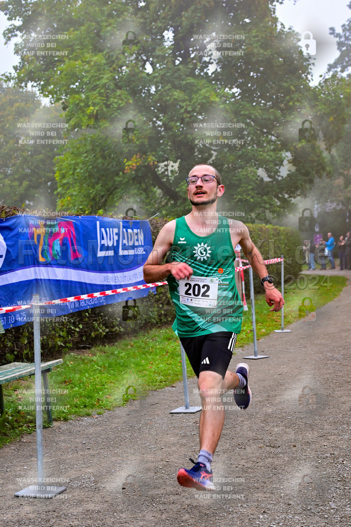 Z8N_1160 | la-psv - Realisiert mit Pictrs.com