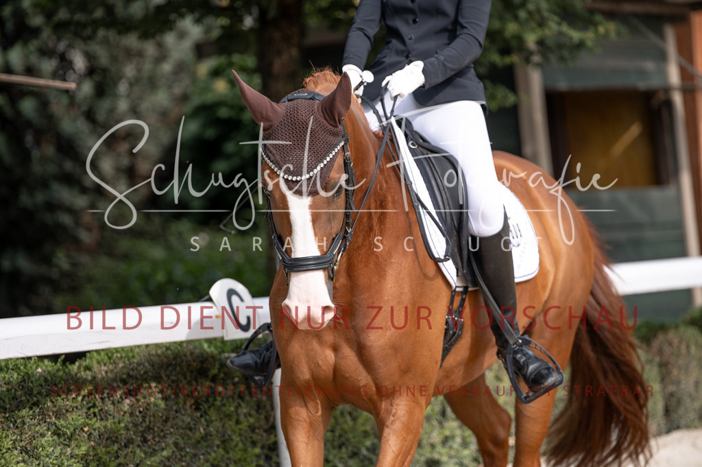 Schugtsche-Aluta25-40.DressurprfA_-196 | Schugtsche Fotografie - Realizzato con Pictrs.com