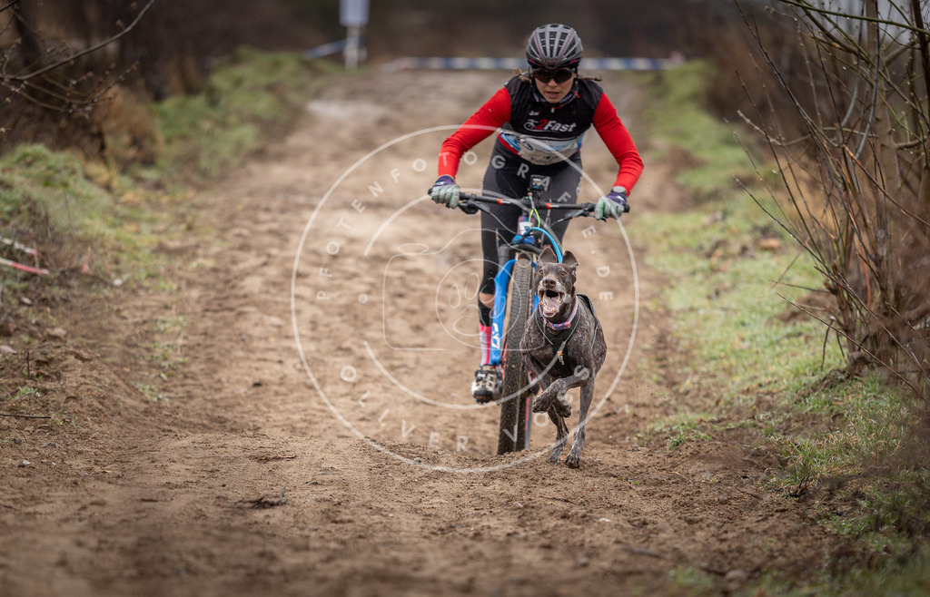 DV3A8843 | Hundefotografie, Tierfotograf, Pfotenfotografie, Fotoshooting Hund, Hunde Portrait, Hundesport, Hundeportraits, Heideshooting, Hunde, Sportfotograf, Hundefotograf, Turnierhundsport, THS,  - Realisiert mit Pictrs.com