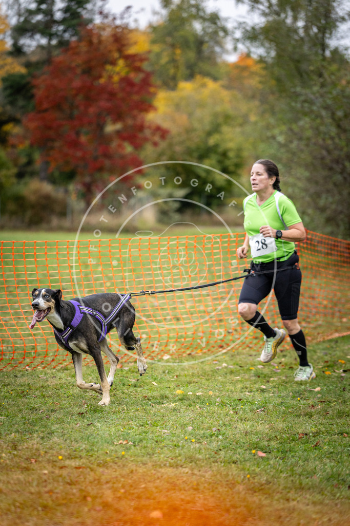 Pfotenfotografie_DV3A2074 | Hundefotografie, Tierfotograf, Pfotenfotografie, Fotoshooting Hund, Hunde Portrait, Hundesport, Hundeportraits, Heideshooting, Hunde, Sportfotograf, Hundefotograf, Turnierhundsport, THS,  - Realisiert mit Pictrs.com
