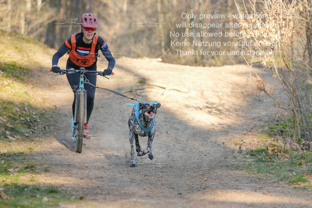 Sa_Scooter-63 | stephaniefillaphotographie - Realisiert mit Pictrs.com