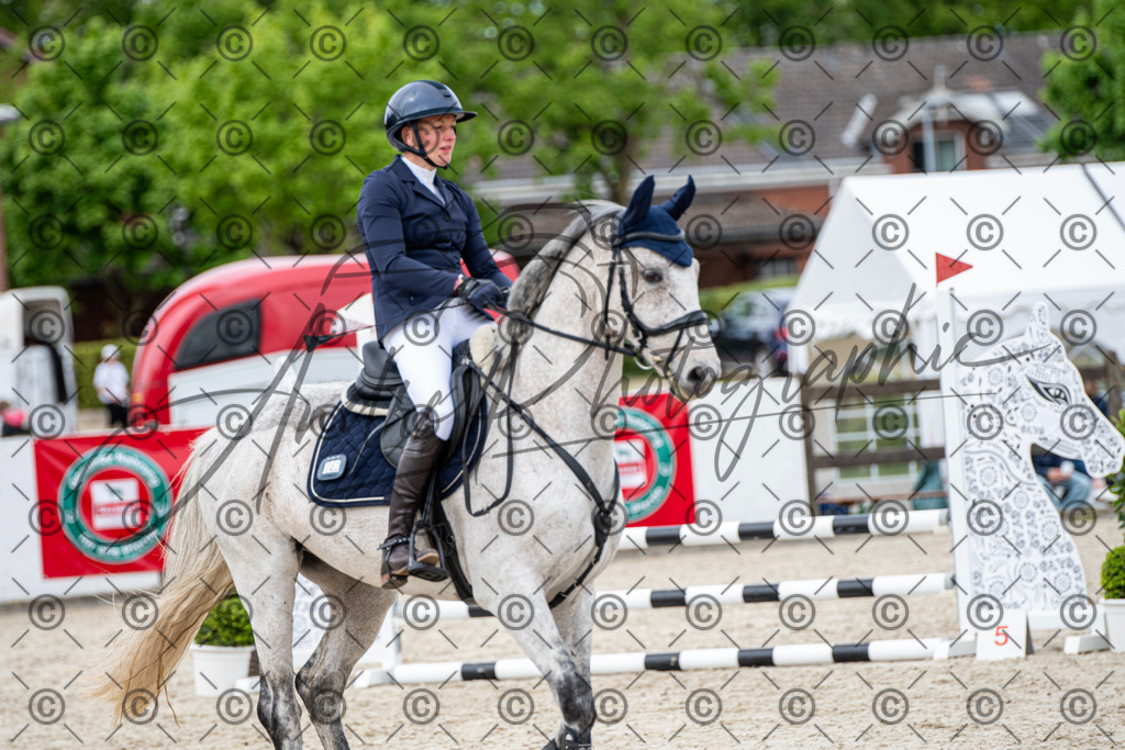 KPT_6180 | andre_photographic