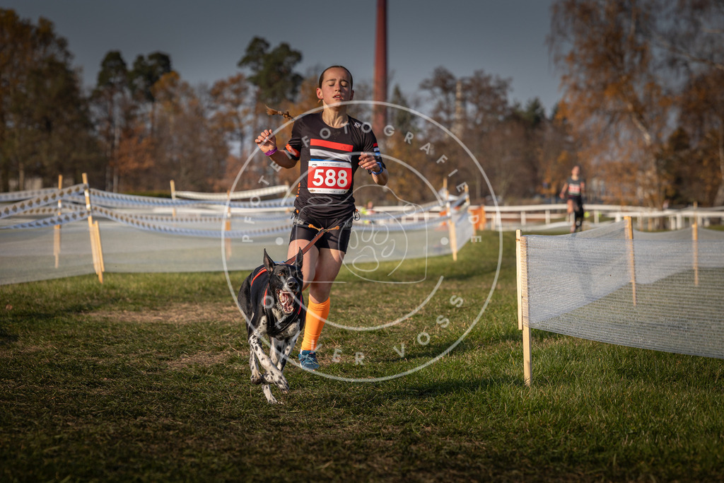 CaniXpix_0L8A9738 | Hundefotografie, Tierfotograf, Pfotenfotografie, Fotoshooting Hund, Hunde Portrait, Hundesport, Hundeportraits, Heideshooting, Hunde, Sportfotograf, Hundefotograf, Turnierhundsport, THS,  - Realisiert mit Pictrs.com