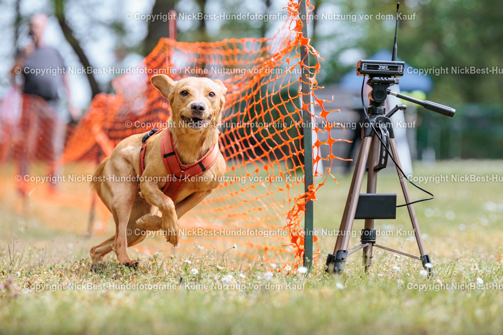Sage Hunderennen Frühlingsfest-2026-Nickbest-Hundefotografie-0411 | Dein Hund! Dein Moment! Deine Erinnerungen! Hundefotografie in Bremen Blumenthal. Ich fange die besonderen Momente deines Vierbeiners ein – ob Indoor mit Blitzanlage oder in der freien Natur. Sicher dir dein Moment und dein Termin für eure Erinnerungen.