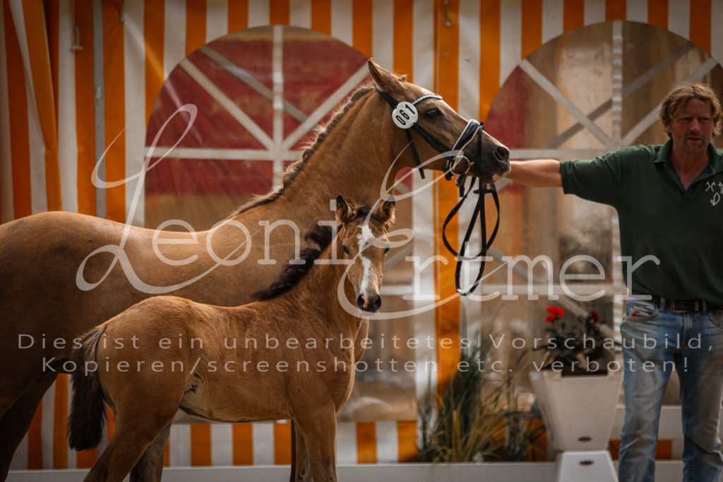 10.DoRP00145 | Leoni Ertmer Photography - Realisiert mit Pictrs.com