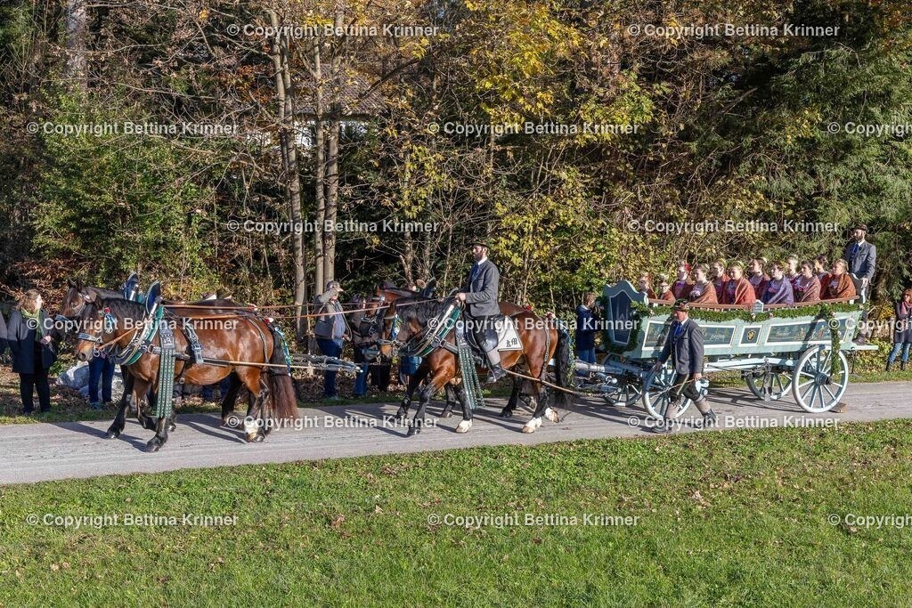 LBT24-206 | foto-bettina-krinner - Realisiert mit Pictrs.com