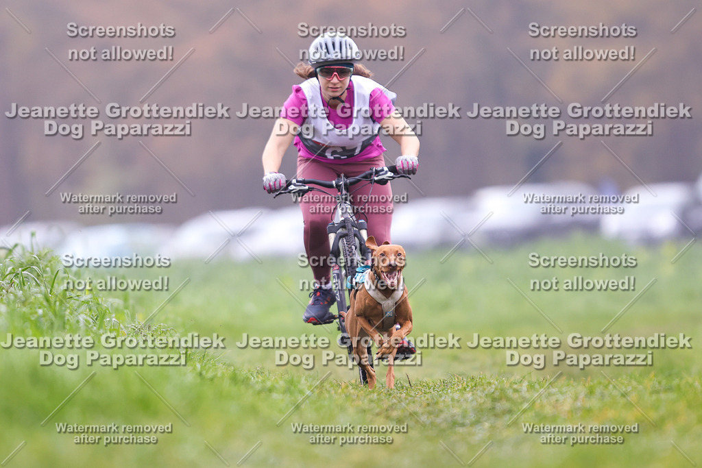 Dog Paparazzi - Visbeck 25 -186 | Dog Paparazzi Jeanette Grottendiek Fotografie & Videografie - Realisiert mit Pictrs.com