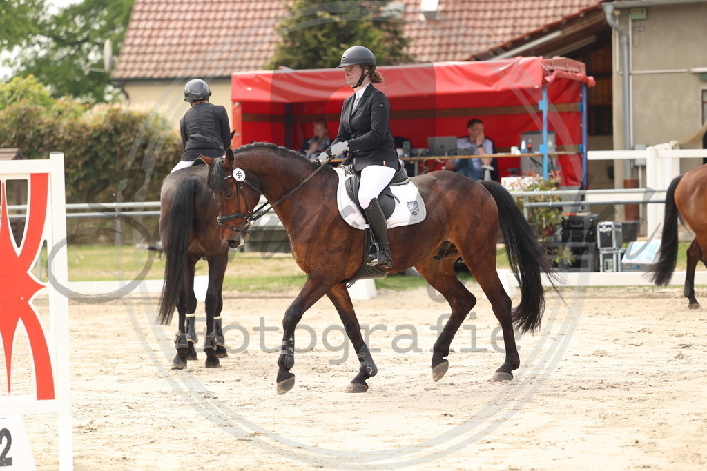 994A7530 | sabrinanicolaifotografie - Realisiert mit Pictrs.com