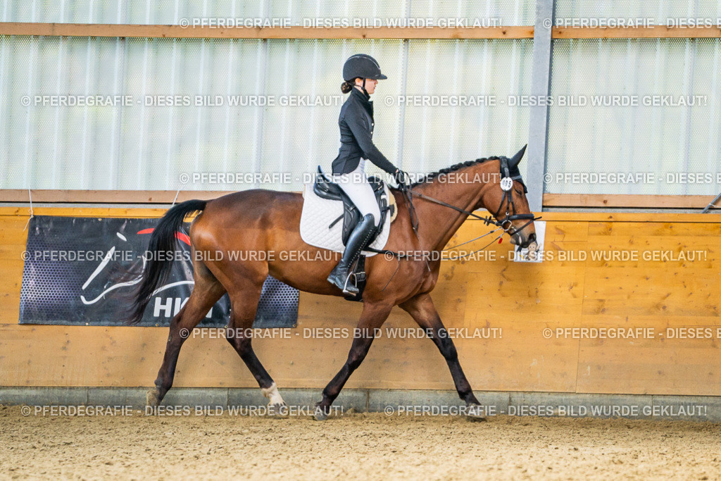 DSC03551 | Pferdegrafie