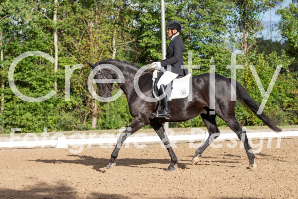 IMG_4850 | Creatify Fotografie