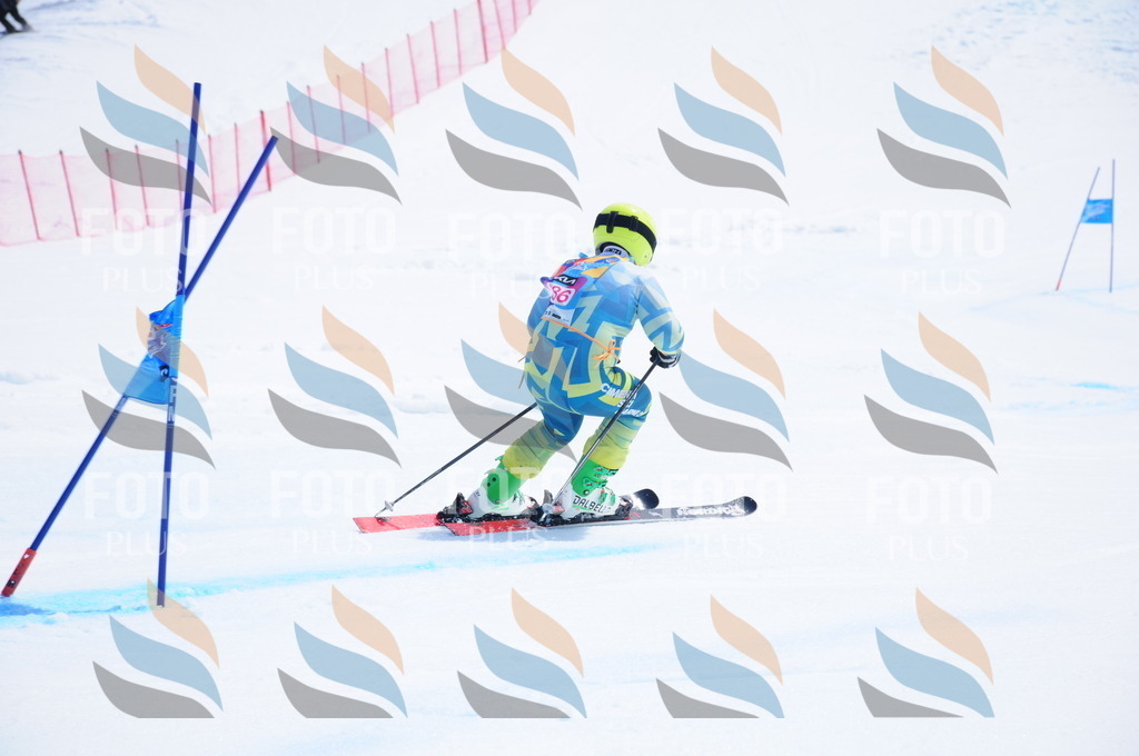 DSC_7484 | holidayphoto