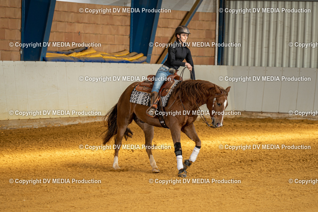 MIT00821 | dv-media-shop - Realisiert mit Pictrs.com