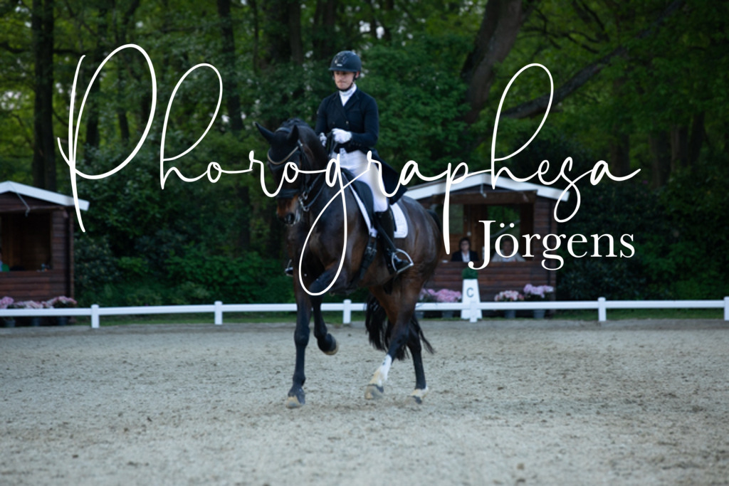 IMG_9448 | photographesa-joergens - Realisiert mit Pictrs.com