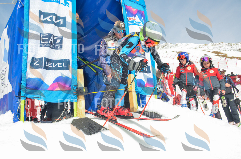 _ELE7316 | holidayphoto