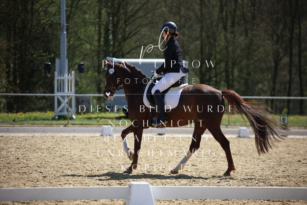 IMGT2516 | pl-fotografie