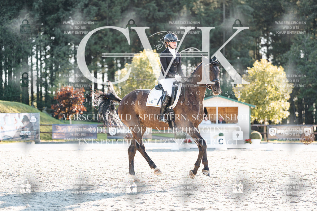 CK907189 | Turnierfotografie Pferdefotografie Trier Rheinland-Pfalz Pferdesport Reitsport Tierfotografie Sportfotografie Pferdevideo Pferdevideografie Equestrianvideography equestrianphotography  - Realisiert mit Pictrs.com