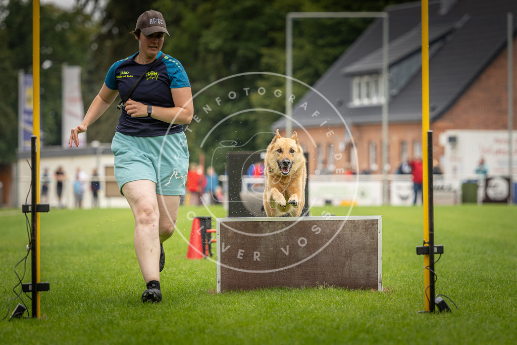 Pfotenfotografie_DV3A6014 | Hundefotografie, Tierfotograf, Pfotenfotografie, Fotoshooting Hund, Hunde Portrait, Hundesport, Hundeportraits, Heideshooting, Hunde, Sportfotograf, Hundefotograf, Turnierhundsport, THS,  - Realisiert mit Pictrs.com