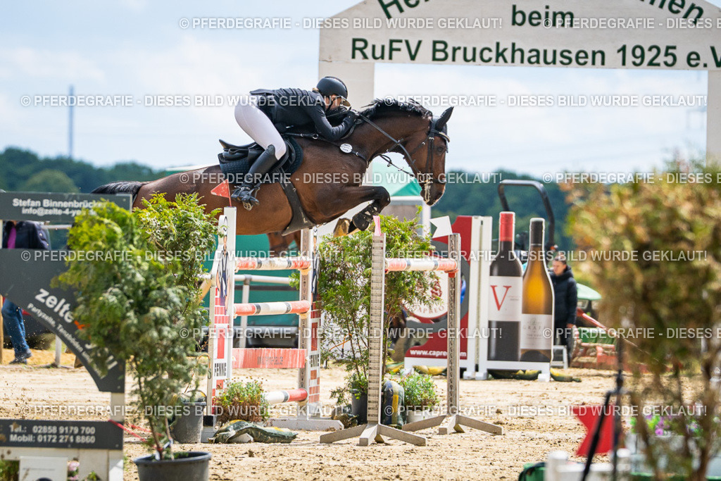 DSC05925 | Pferdegrafie