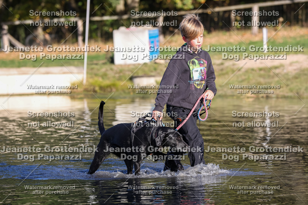 Dog Paparazzi - Strongdog 10-25-8798 | Dog Paparazzi Jeanette Grottendiek Fotografie & Videografie - Realisiert mit Pictrs.com