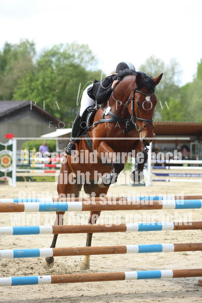 IMGM5858 | pl-fotografie