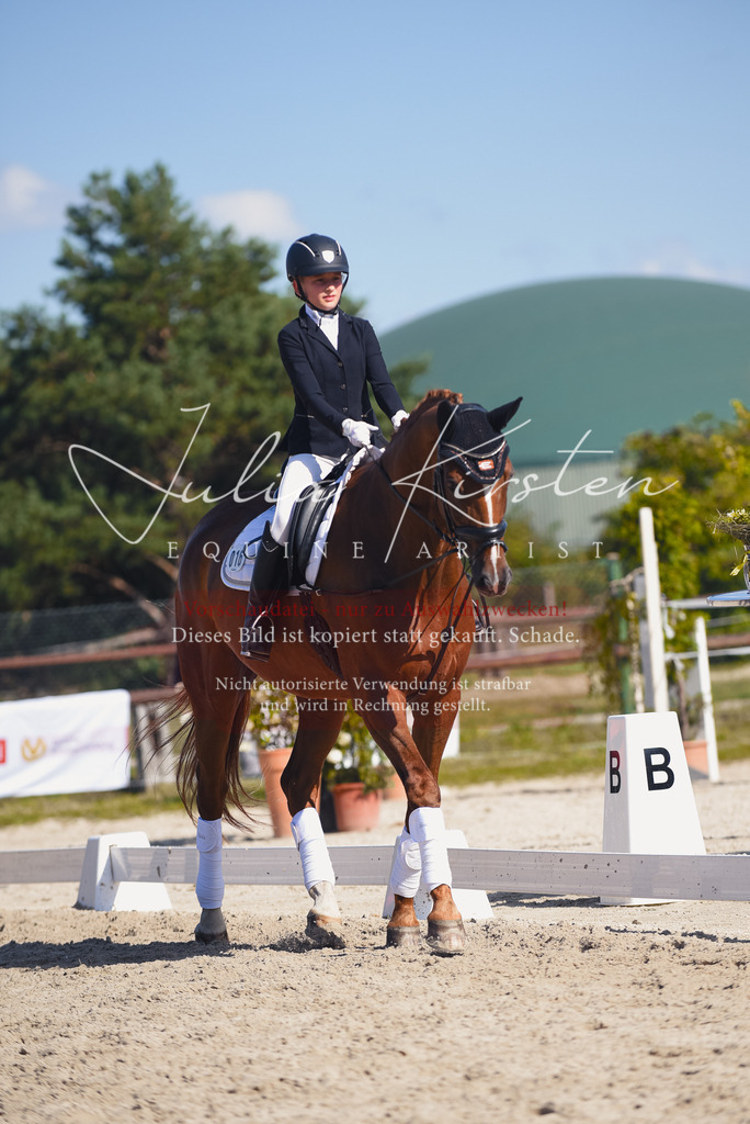 DSC_0056 | Pferde- und Turnierfotografie in Westsachsen. Pferdeportraits, Auftragszeichnungen und intuitive Kunst.