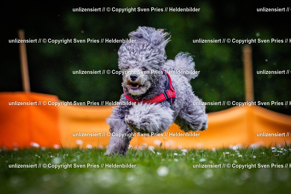 Sven Pries | 2025-05-29 - Pudelrennen KA-Durlach - Realisiert mit Pictrs.com