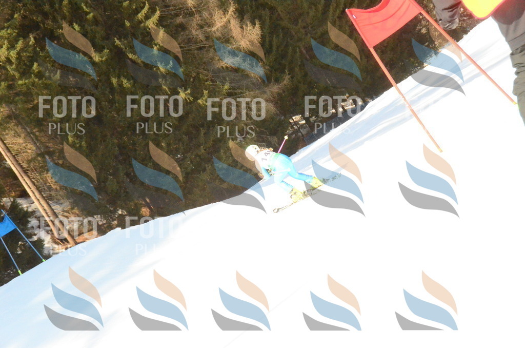 C7841 | holidayphoto