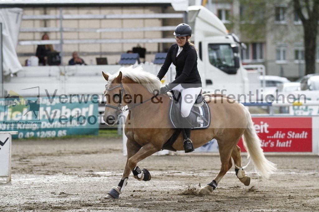 _MG_1271 | equestrian-live-com