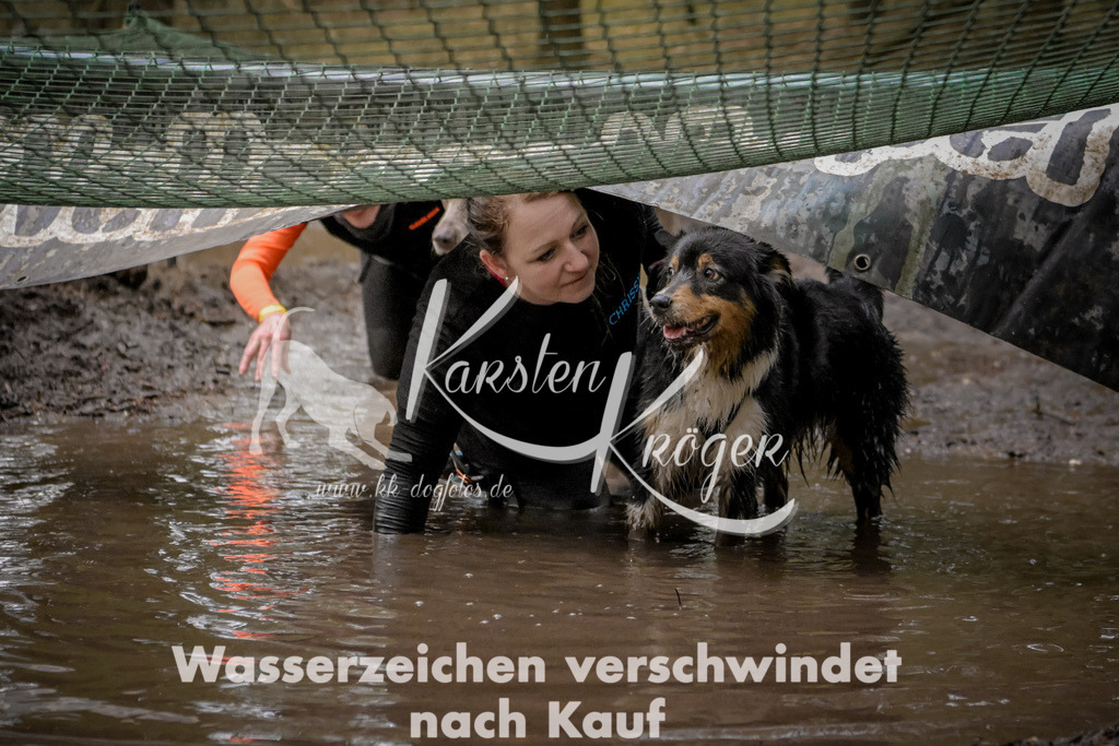 1003_ZZ99163 | kk-dogfotos