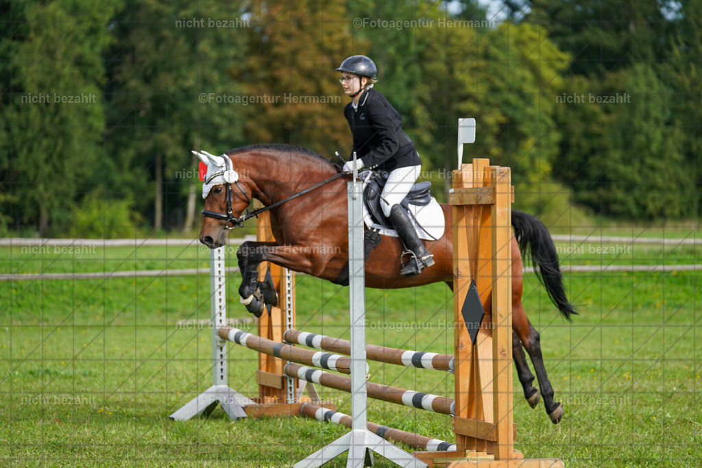 20230917-FAH09141 | Landsberg am Lech, 2023, Kaufbeuren, Kempten, Allgäu, Turnierfotografen Bayern, Fotoagentur Herrmann, Turnierbilder, Reitsport Fotos, Pferdefotograf, Augsburg, Bad Tölz, Dachau, Karlsfeld, Memmingen, Buchloe, Schwabmünchen
