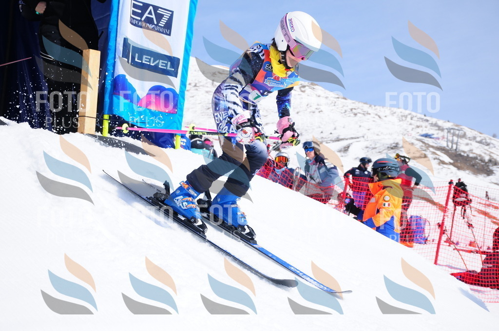 DSC_1329 | holidayphoto