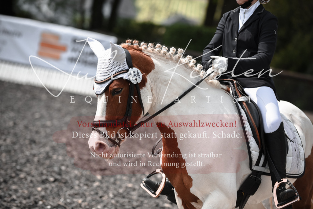 20230513_JK-Röhrsdorf-14-724 | Pferde- und Turnierfotografie in Westsachsen. Pferdeportraits, Auftragszeichnungen und intuitive Kunst.