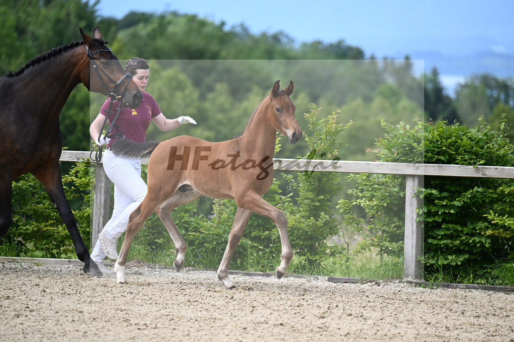 Va Bene x Fahrenheit_HF_Bosch_19240071 | hf-fotografie - Realisiert mit Pictrs.com