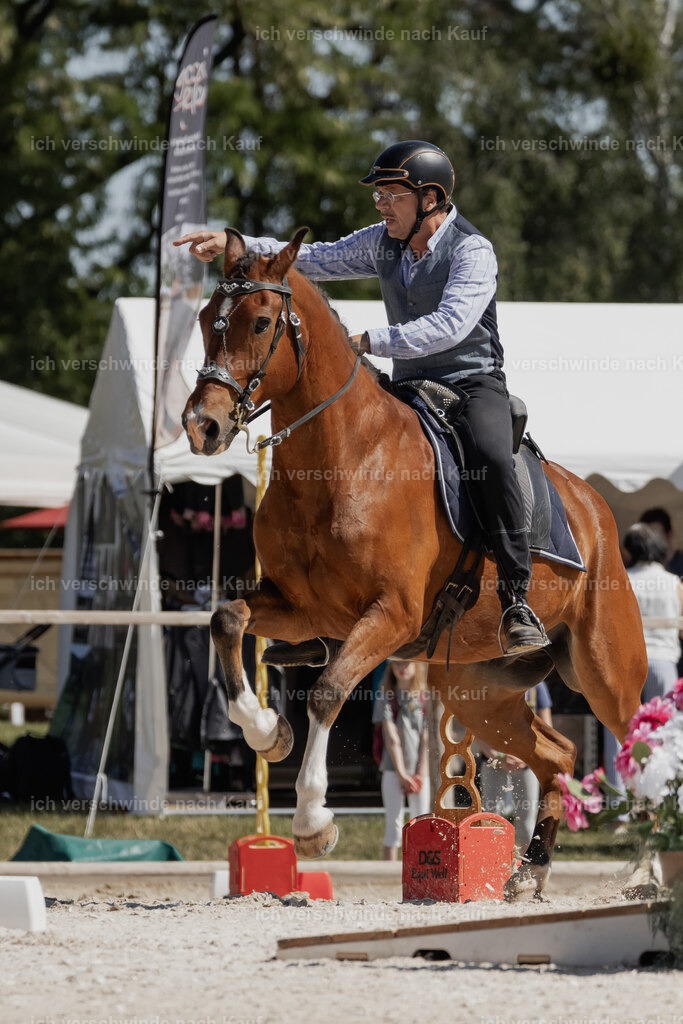 WE_SP_Stoib_339_PI2025_1516 | Pferd International München 2025