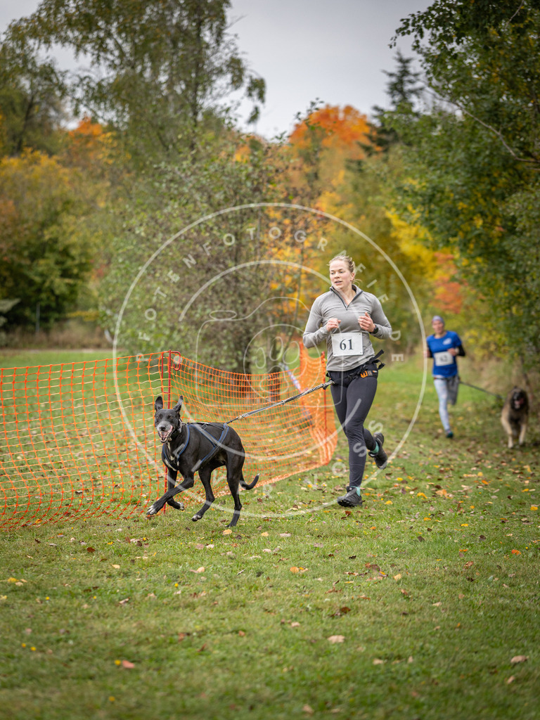 Pfotenfotografie_DV3A2677 | Hundefotografie, Tierfotograf, Pfotenfotografie, Fotoshooting Hund, Hunde Portrait, Hundesport, Hundeportraits, Heideshooting, Hunde, Sportfotograf, Hundefotograf, Turnierhundsport, THS,  - Realisiert mit Pictrs.com