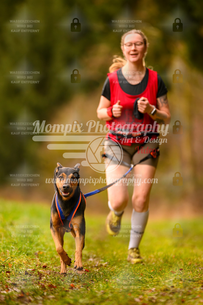 MompixPhotography_2SSTSSBW_2025_SO_Canicross-21 | PayLife