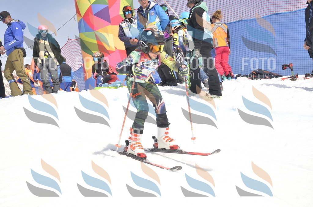 _ELE9189 | holidayphoto