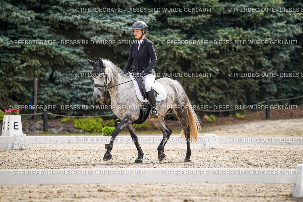 DSC07721 | Pferdegrafie