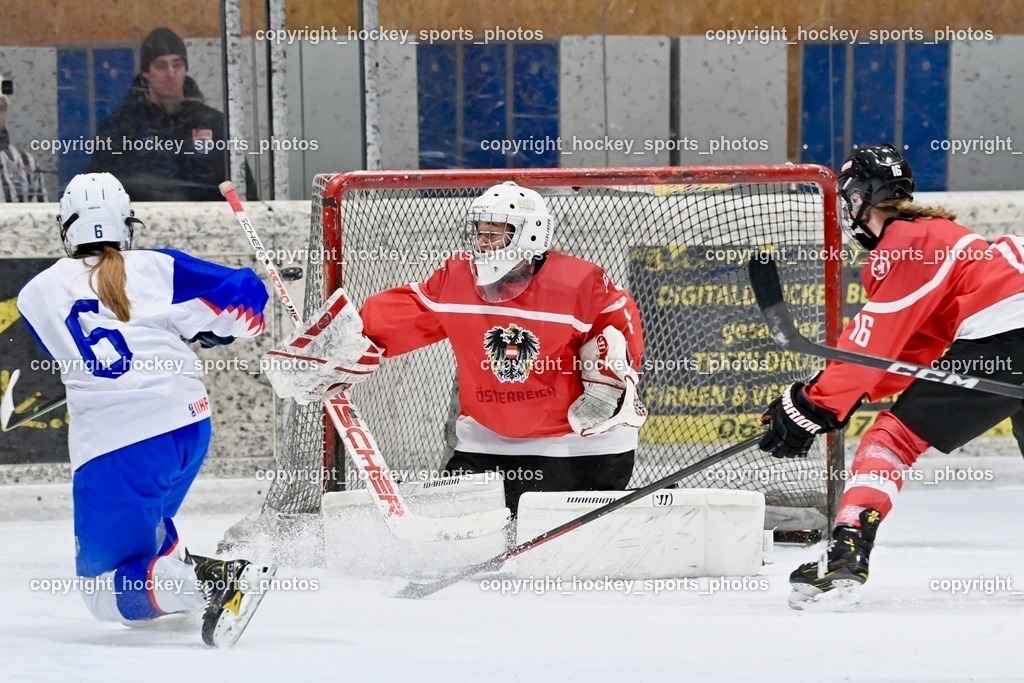 BST_3806 | hockey sports photos, Pressefotos, Sportfotos, hockey247, win 2day icehockeyleague, Handball Austria, Floorball Austria, ÖVV, Kärntner Eishockeyverband, KEHV, KFV, Kärntner Fussballverband, Österreichischer Volleyballverband, Alps Hockey League, ÖFB, 