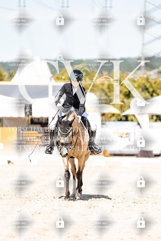 CK909970 | Turnierfotografie Pferdefotografie Trier Rheinland-Pfalz Pferdesport Reitsport Tierfotografie Sportfotografie Pferdevideo Pferdevideografie Equestrianvideography equestrianphotography  - Realisiert mit Pictrs.com