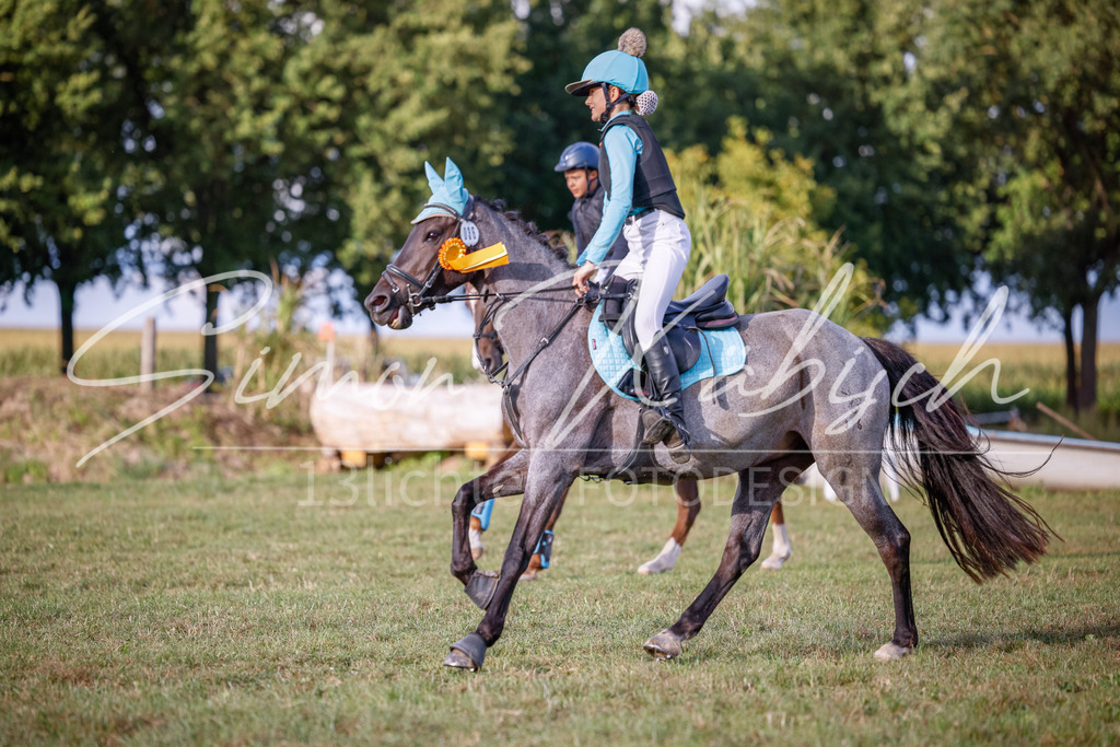 20250905-_3LI2511 | Tierfotografie Pferde, Hunde, Katzen, Haustiere.
Turnierfotografie Reitturniere, Reiten, Springreiten, Dressur in Hanau, dem Main-Kinzig-Kreis und dem Rhein-Main- Gebiet um Frankfurt