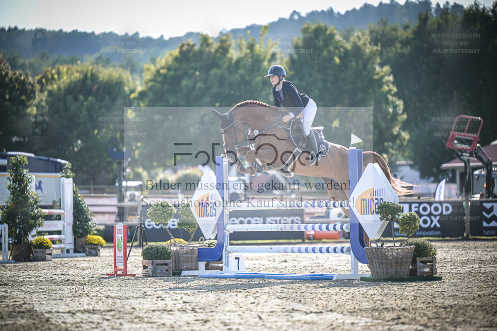 DOS_1088 | Entdecke hochwertige Reitturnierfotos von Foto Oger. Professionell, emotional und authentisch – jetzt Lieblingsmomente im Shop bestellen. - Realisiert mit Pictrs.com