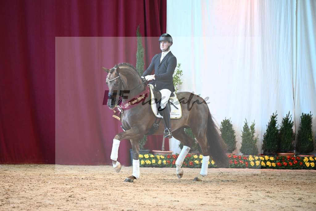 Feliciano_2243132 | hf-fotografie - Realisiert mit Pictrs.com