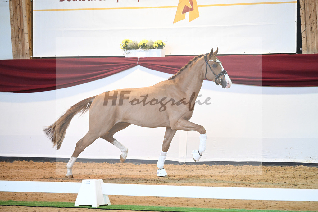 Kat-Nr. 33 v. Fuerst Samarant_Berger_66220373 | hf-fotografie - Realisiert mit Pictrs.com