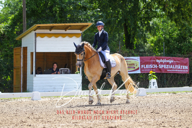 DKP42480 | Turniersportfotografie; Pferdefotografie; Dressurfotografie