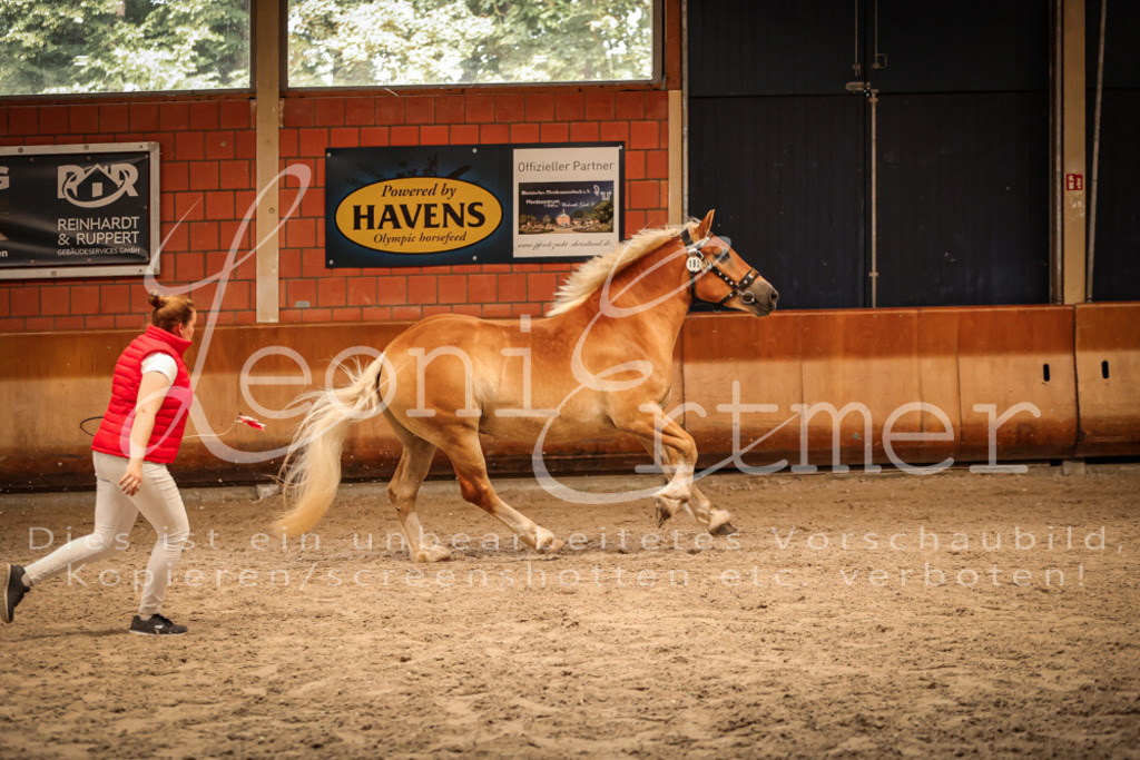 SaFL00276 | Leoni Ertmer Photography - Realisiert mit Pictrs.com